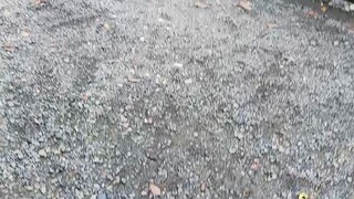 unang bitaw nila