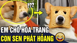 Tổng Hợp Những Tình Huống 'HÀI ĐỘNG VẬT' Đảm Bảo KHÔNG CƯỜI KHÔNG LẤY TIỀN  P388 | Trùm Tin Hài