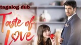 Taste of Love Ep 1 tagalog dub  turkish drama