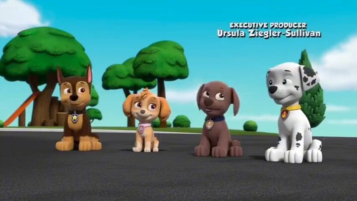 Paw Patrol Musim 9 Episode 23 original mix opening theme song Bahasa Indonesia