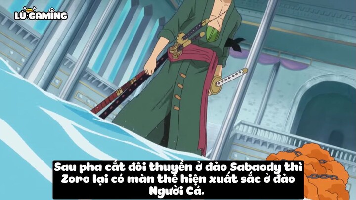 Những pha combat ngầu lòi của Zoro [One piece]