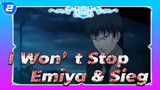 Even the Hell is ahead of Me, I Won’t Stop | Emiya & Sieg / Epic Ending_2