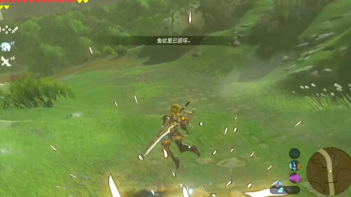 [Zelda] Saat Aku Mendemonstrasikan Geser Perisai ke Teman Sekamar Baruku