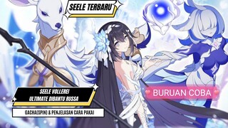 GACHA "SEELE" TERBARU DAN TUTORIAL CARA PAKAI - HONKAI IMPACT 3RD