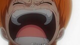 One Piece | Quá trình khổ cực của Băng Mũ Rơm