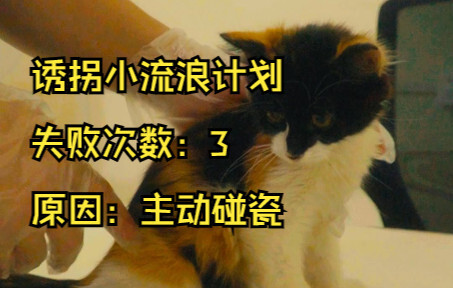 【诱拐小流浪计划】流浪、碰瓷、奶音、话痨、听话、要素过多！！vol.003