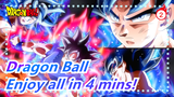 Dragon Ball| Enjoy Dragon Ball, Dragon Ball Z, and Gragon Ball GT in 4 mins!_2