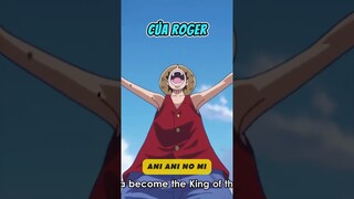 Sự thật về chữ D trong One Piece #anime #onepiece #luffy