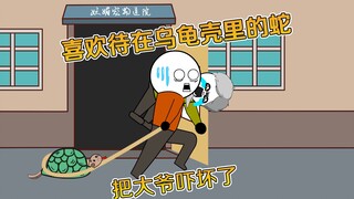 地摊老板给我邮寄过来一条蛇，喜欢待在乌龟壳里溜达