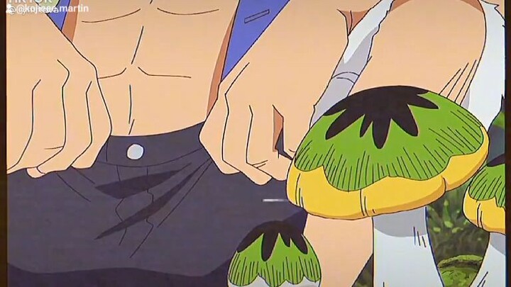 one piece