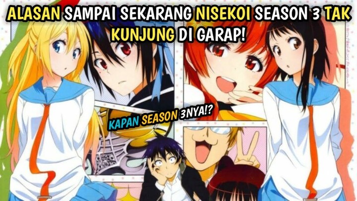 Alasan Nisekoi Season 3 Tak Kunjung Di Garap!