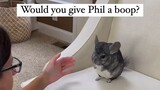 Video by Cute Pet Club (7)