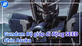 [Gundam Bộ giáp di động SEED/MAD] Shin Asuka--- Bị sự thù hận kiểm soát_2