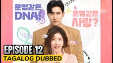 DNA Lover 2024 Episode 12 Tagalog Dubbed HD