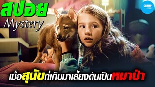 เมื่อสุนัขที่เก็บมาเลี้ยงดันเป็นหมาป่า  #สปอยหนัง  Vicky and Her Mystery