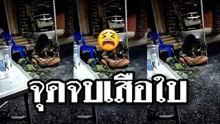 รวมคลิปตลกๆ : หมดเท่เลยตรู……