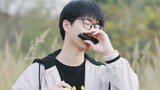 [Harmonica] Zhang Jie has love all his life, why fear the wind and sand