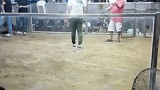 Sinibalang 3x W