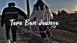 Tera Ban Jaunga