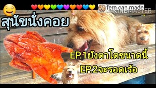 คำสั่งสุนัขนั่งคอย 《EP1 ยังตาโตขนาดนี้ EP2 จะรอดเร้อ?》