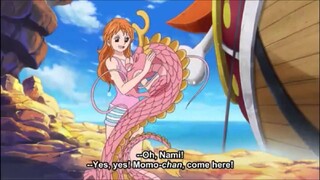 Momo Manja Ke Nami 🗿😍, Sanji, Brook, Kinemon Cemburu 🤣