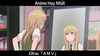 Citrus「ＡＭＶ」Hay Nhất