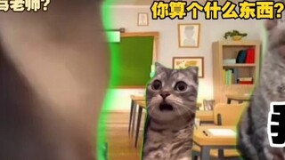 [Cat meme] Đối mặt với giáo viên tiêu chuẩn kép, tôi dũng cảm tấn công! (thượng đẳng)