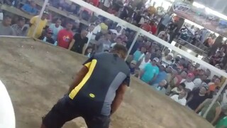 JB Kelso vs Dom