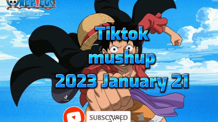 tiktok mushup January 21