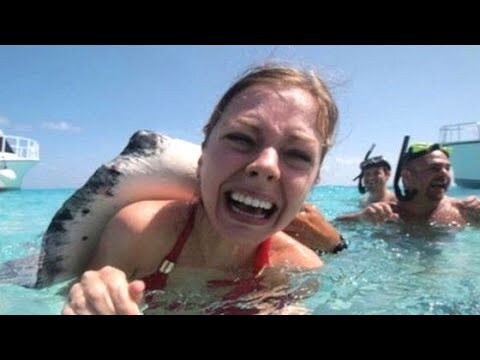 Damn Nature You Scary | Funny Scary Animal Encounters 😱 #17