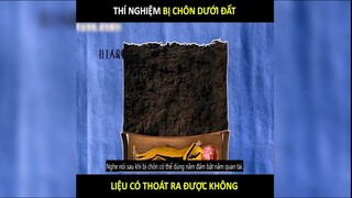 Người chết bị chôn bất ngờ tỉnh lại thì có thoát được khỏi quan tài không | LT review