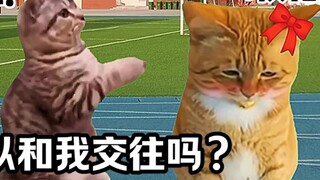 "Nhà hát nhỏ Cat Meme" Khi bạn lấy hết can đảm để thổ lộ tình yêu của mình với mỹ nhân học đường!