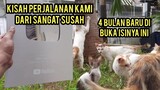 Momen Haru Saat Kucing Cats Lovers Tv Di Bukakan Silver Play Button Penghargaan Youtube..!