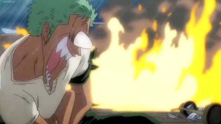 Moment Zoro jadi marimo panggang