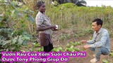 Đi Bắt quả tang Tony Phong và cô gái châu Phi chăm sóc rau||2Q Vlogs cuộc sống châu phi