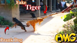 Fake Tiger Prank Dog With Super Surprise scared reaction Top Video Funny Prank Dog Must Watching