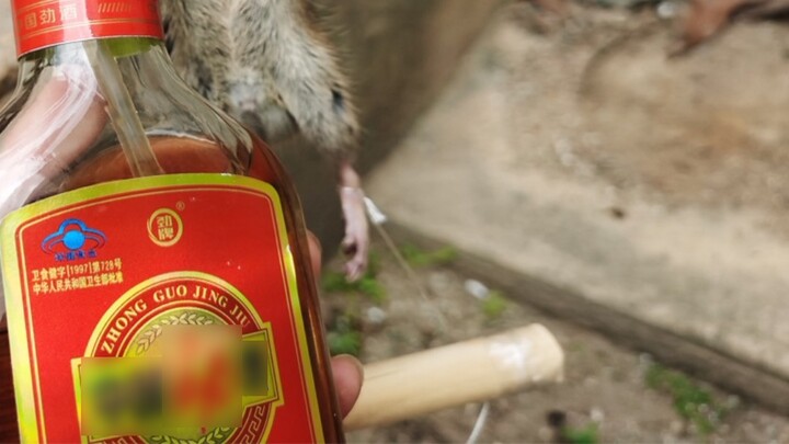 Mouse: This strong wine... tops