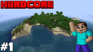 Massive Island! - Minecraft Hardcore Timelapse - Episode 1