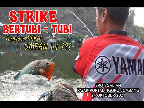 STRIKE BERTUBI TUBI TERNYATA PAKAI UMPAN INI