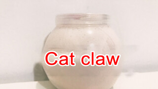 Test for Kitty’s Paw of Magicmslime. Great!