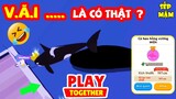 PLAY TOGETHER | Video Này Lên Nhiều Cá Khủng V.Ã.I. - #16 FAN SẾP MẬM Săn Cá Hiếm