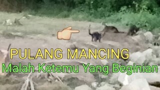 Pulang MANCING Malah Ketemu Yang Beginian || Mancing Mania - Blands Hidayat