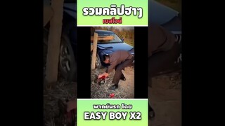 รวมคลิปฮา พากย์นรก #short #easyboy #คลิปฮา #เบสไวน์