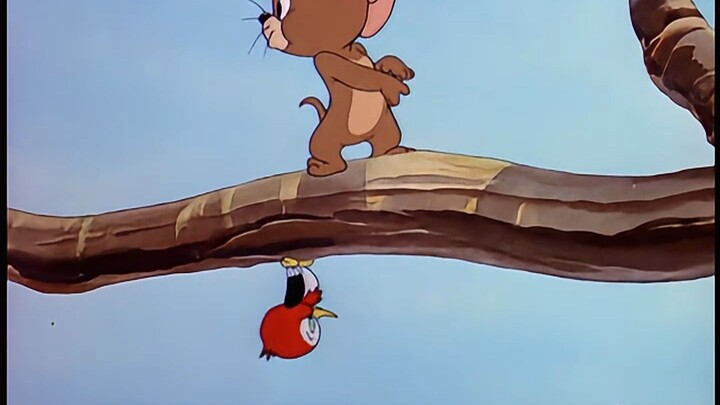 Tom and Jerry |.Episode 041: Lahirnya Masalah [versi 4K yang dipulihkan] (ps: saluran kiri: versi ko