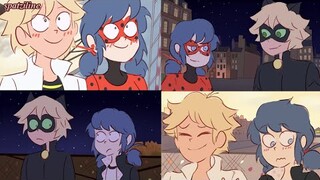 The Love Square [Miraculous Ladybug Comic]