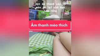 Thử đi mọi người đúng thật nè mèo cat fyp xuhuong catsoftiktok tiktokvietnam VaCaiKet cute pet ONhaOnThi meow