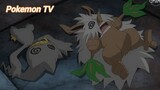 Pokemon (Short Ep 110) - Bước vào nhiệm vụ (Phần 2) #pokemon