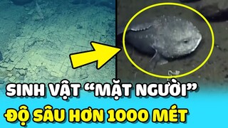 💥 Phát hiện CON ĐƯỜNG LẠ và sinh vật MẶT NGƯỜI ở độ sâu hơn 1000 dưới đáy biển | TIN GIẢI TRÍ