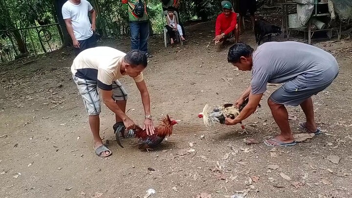 Parang walang tare . Patay tayo jan Hasa Hasa 🤣 Draw Fight tayo dto.