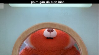 PhimGood51-3 - Gấu đỏ biến hình p2